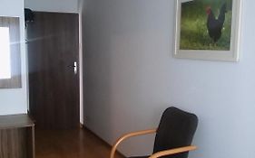 Pod Zachrypniętym Kogutem